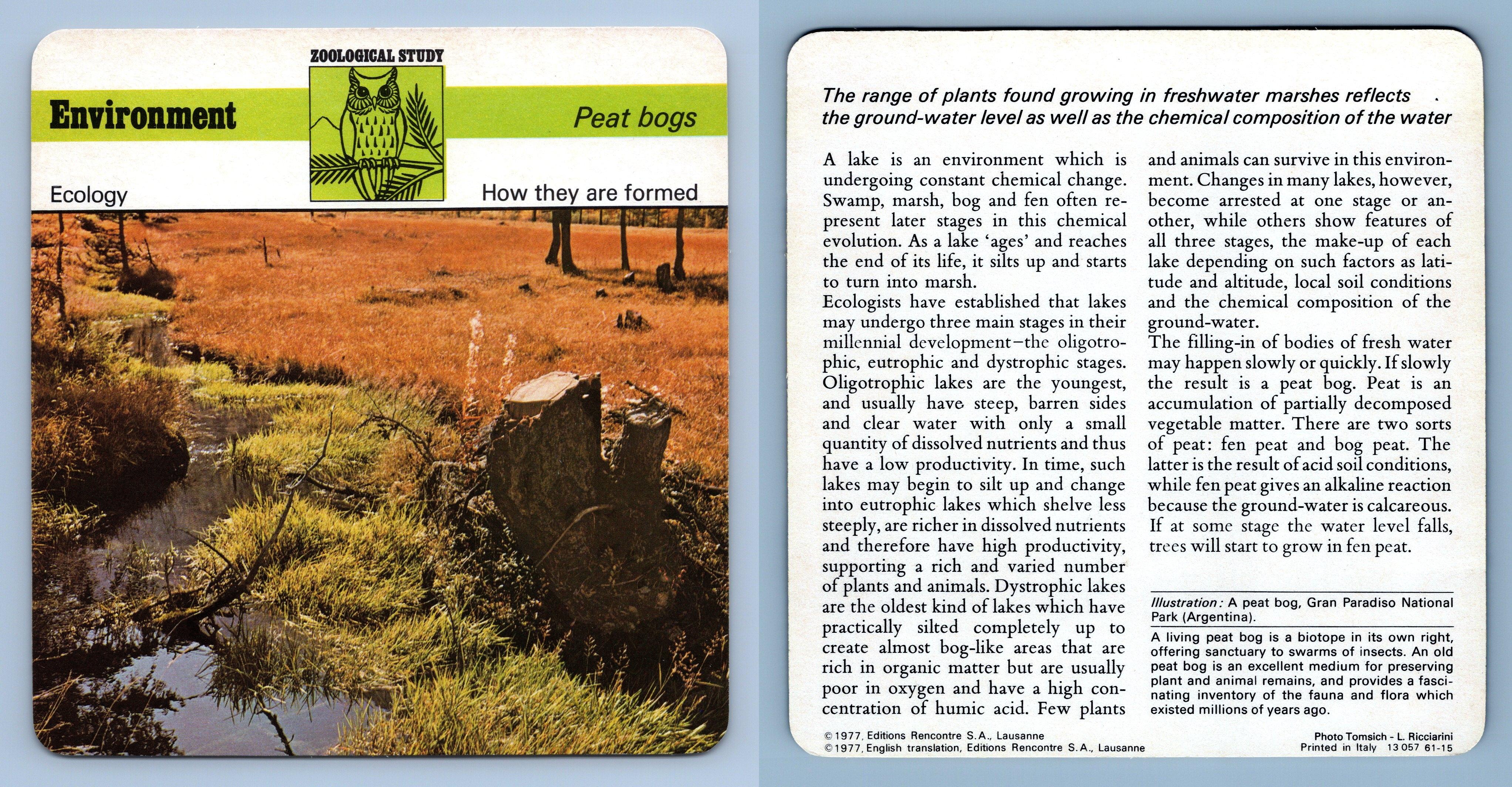 How They're Formed Peat Bogs Zoological Study Environment Safari Wildlife  Card