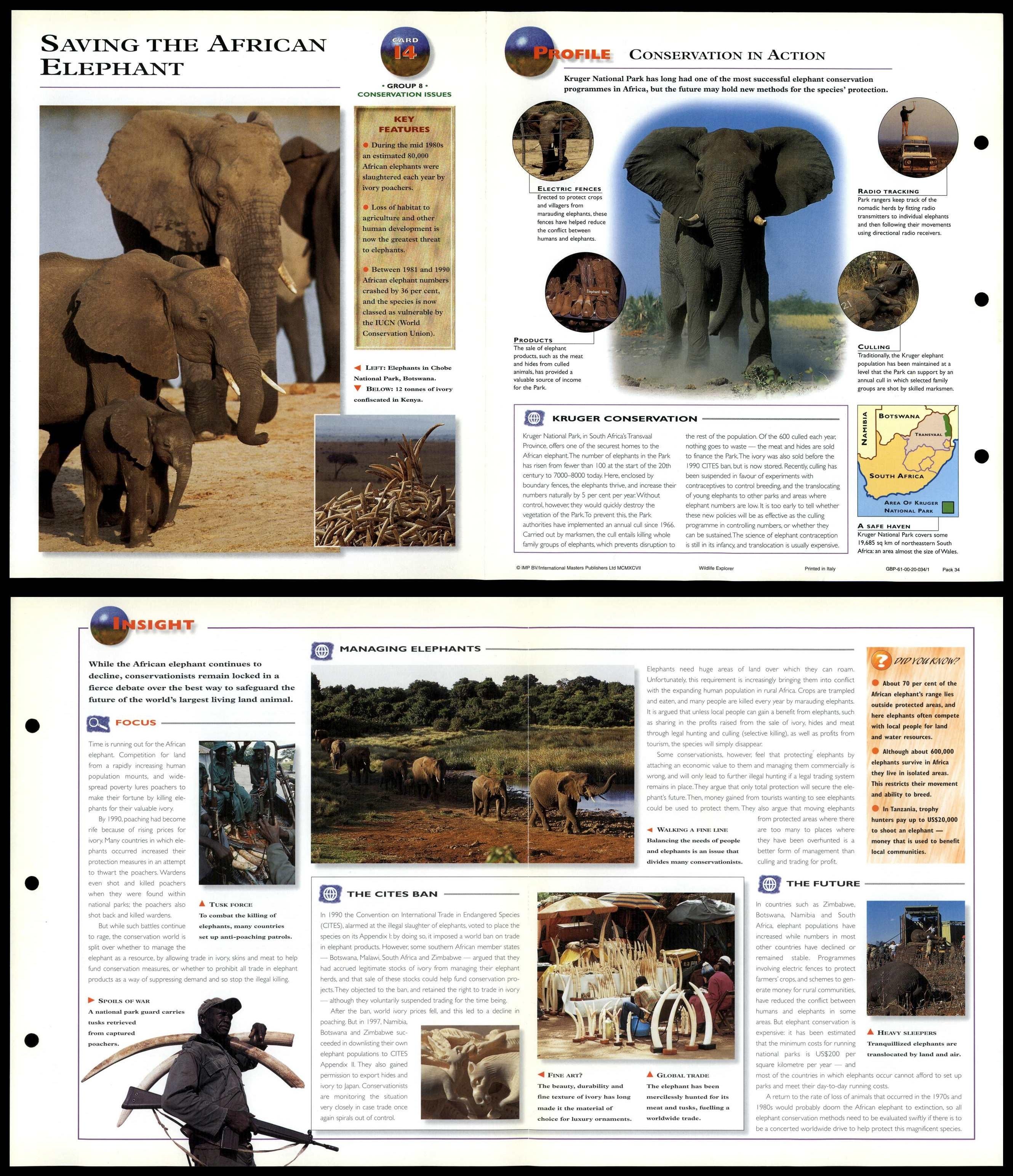 Saving The African Elephant #14 Conservation - Wildlife Explorer Fold