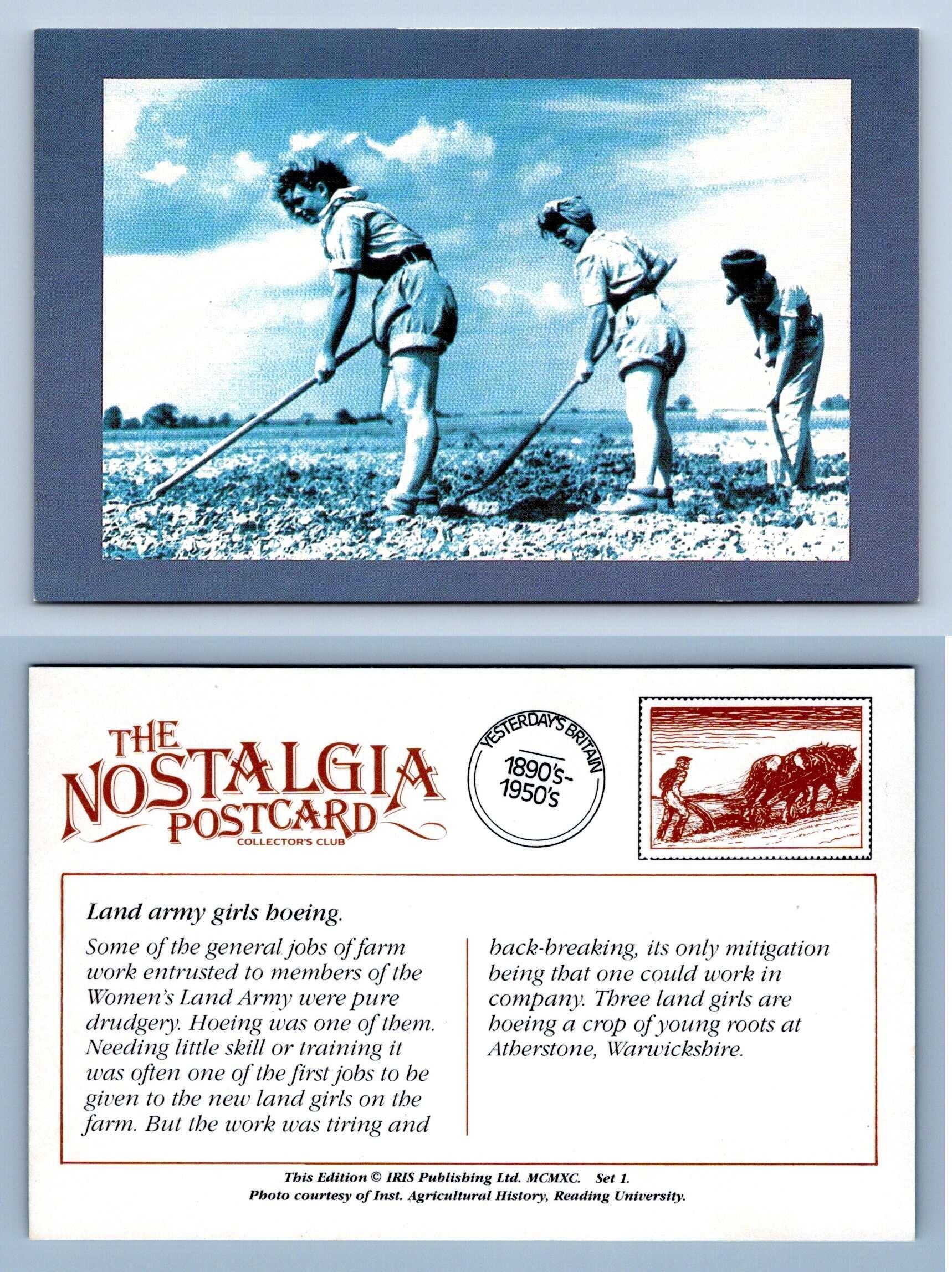 Land Army Girls Hoeing Country Life The Nostalgia Postcard