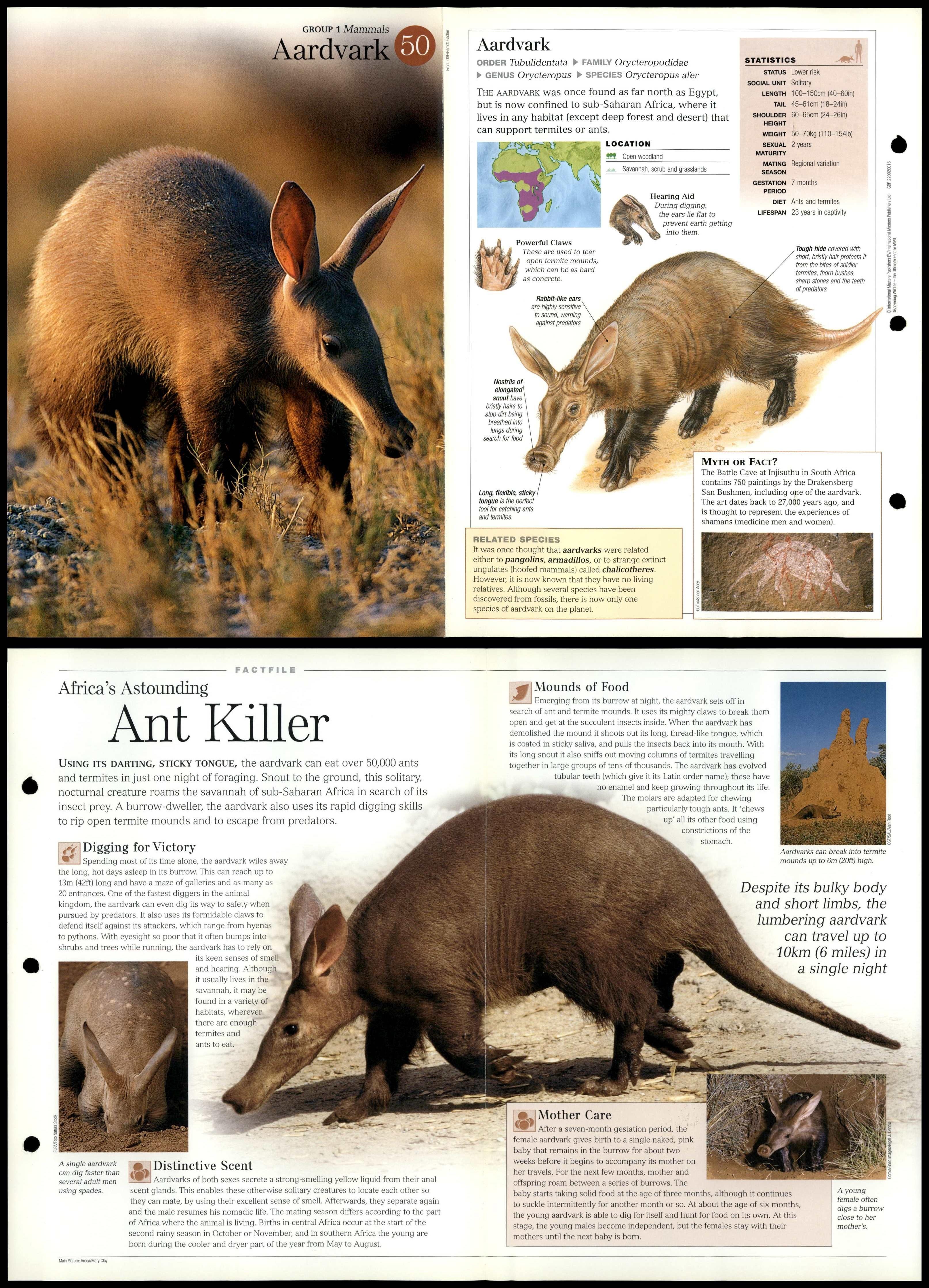 wildlife fact file cards complete set