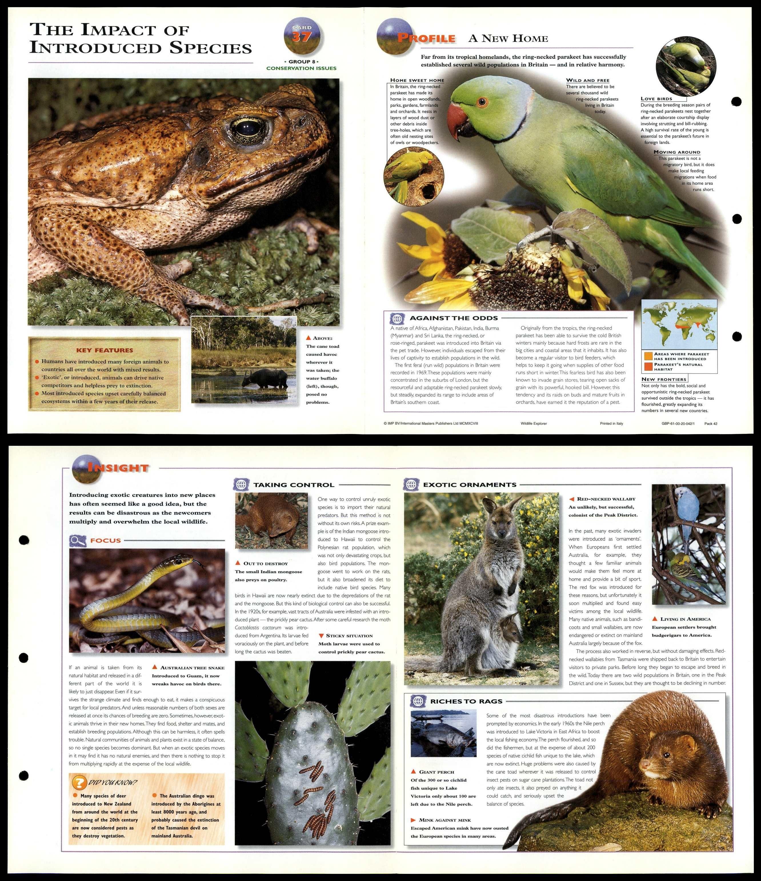 The Impact Of Introduced Species #37 Conservation - Wildlife Explorer  Fold-Out Card