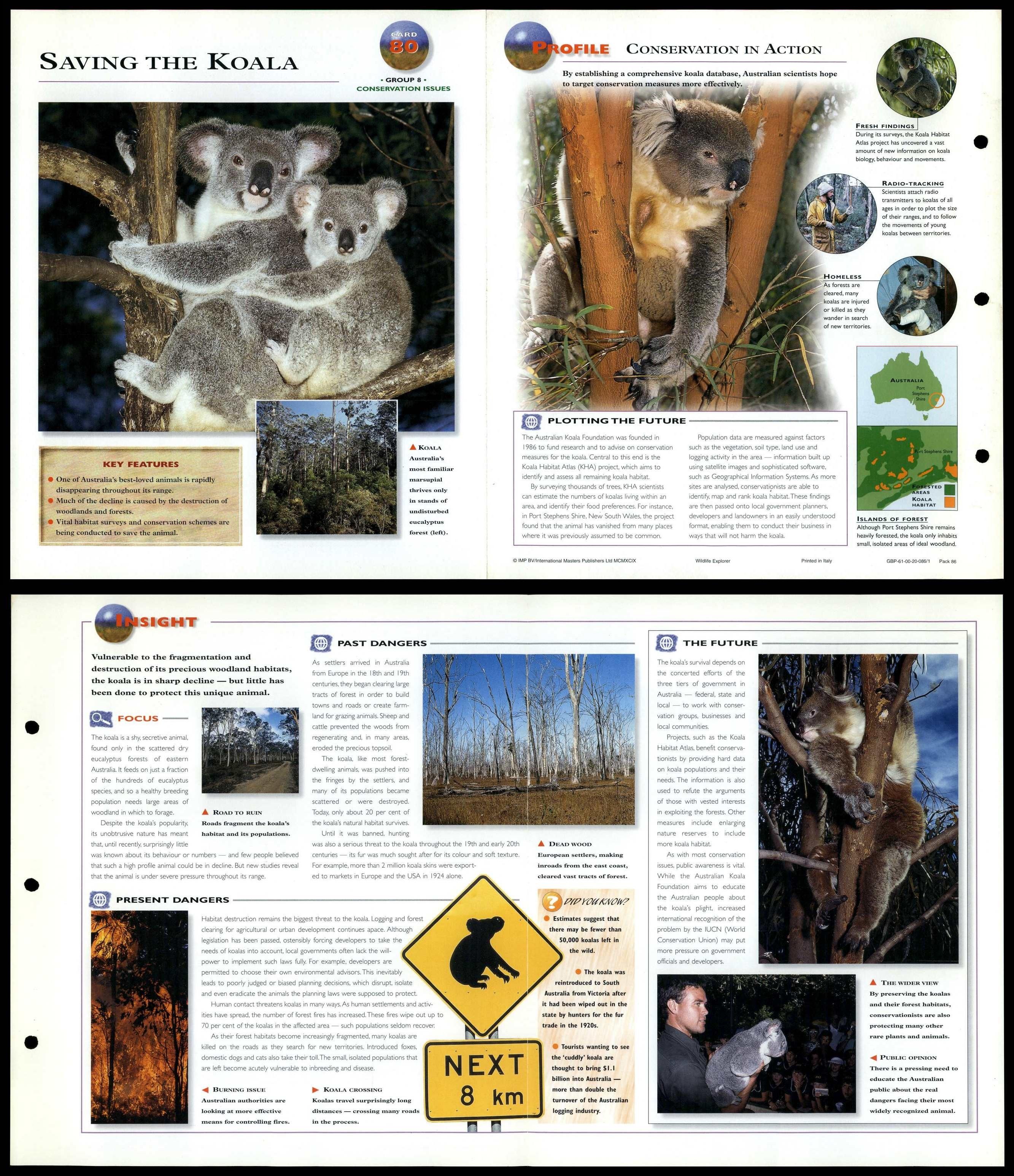 Saving The Koala 80 Conservation Wildlife Explorer Fold Out Card