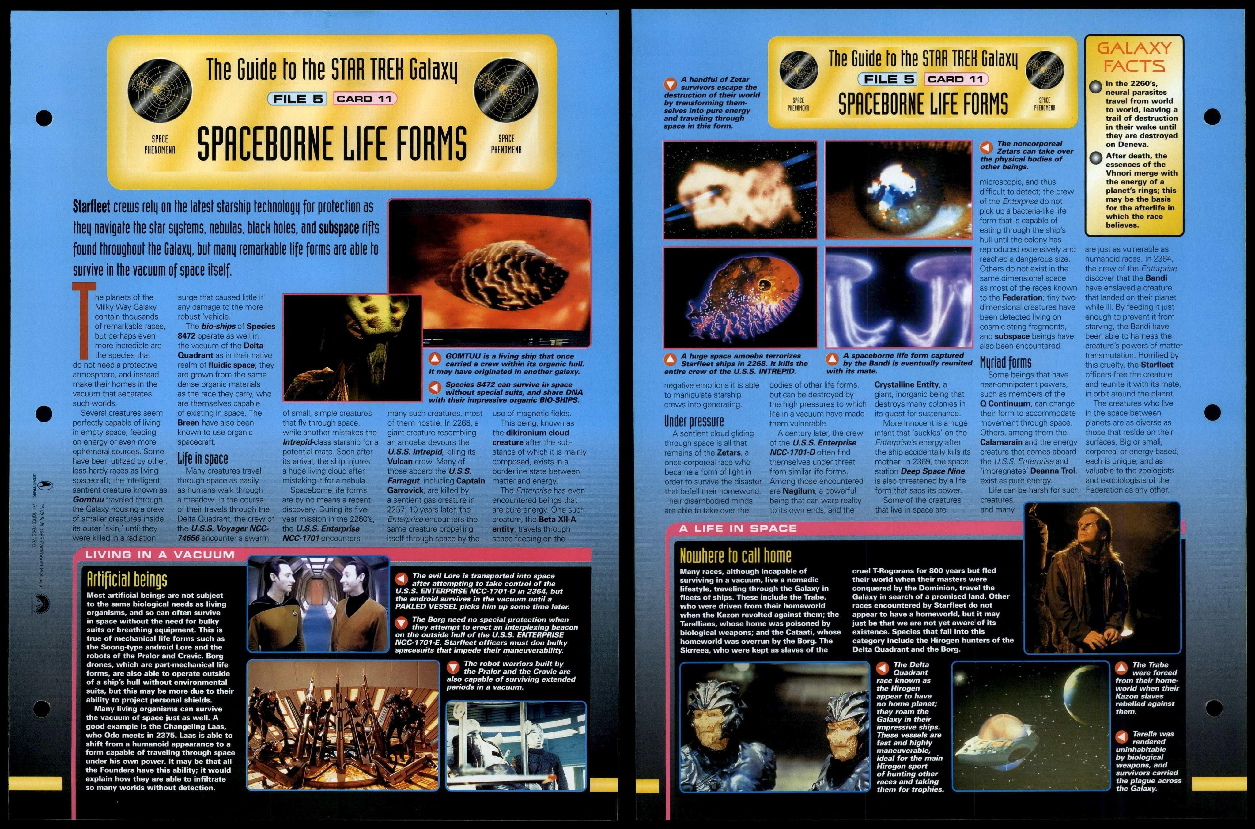 Spaceborne Life Forms   Space Phenomena   Star Trek Fact File Page