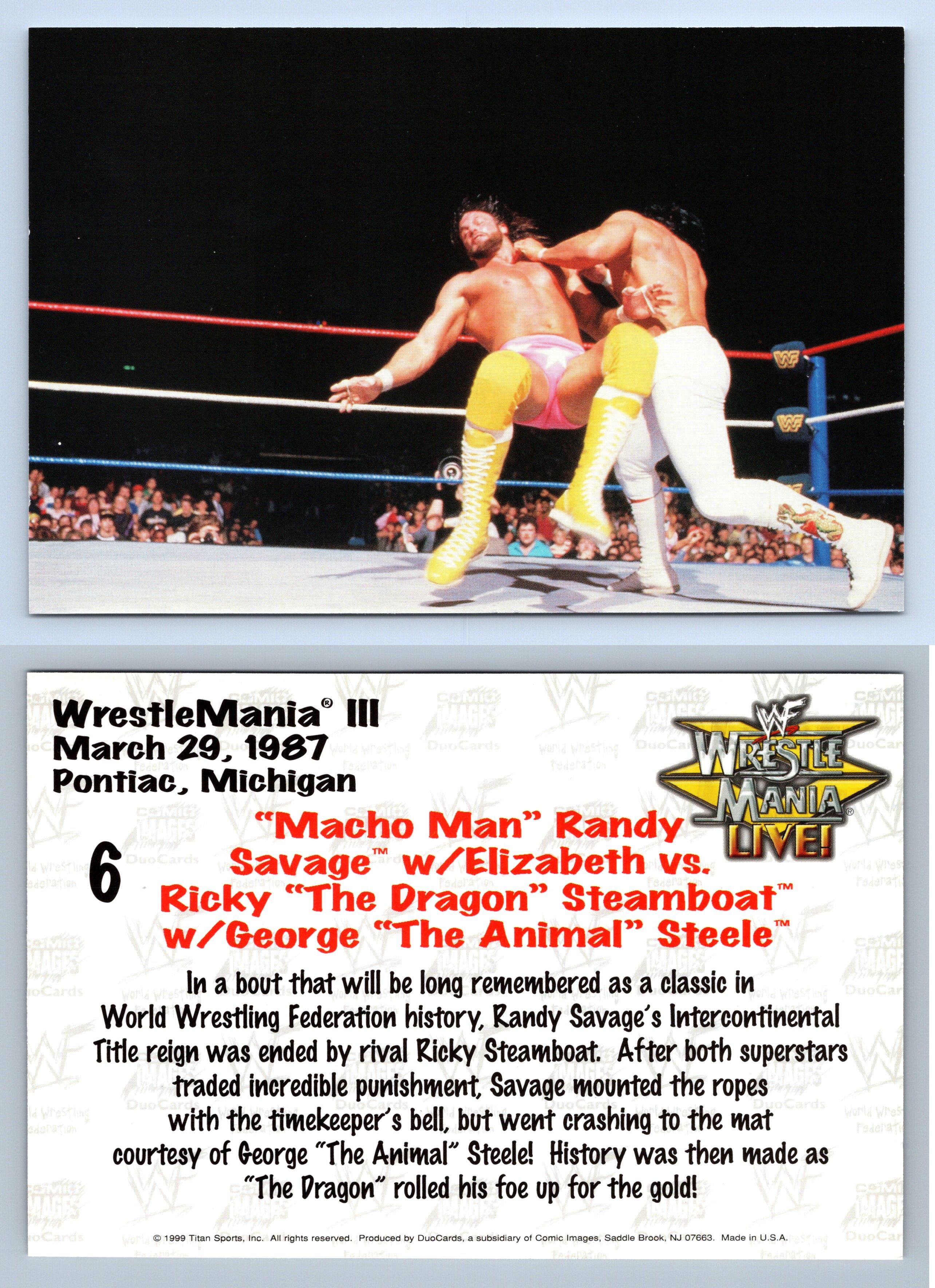 Randy Savage Vs Ricky Steamboat 6 WWF Wrestlemania Live Comic Images