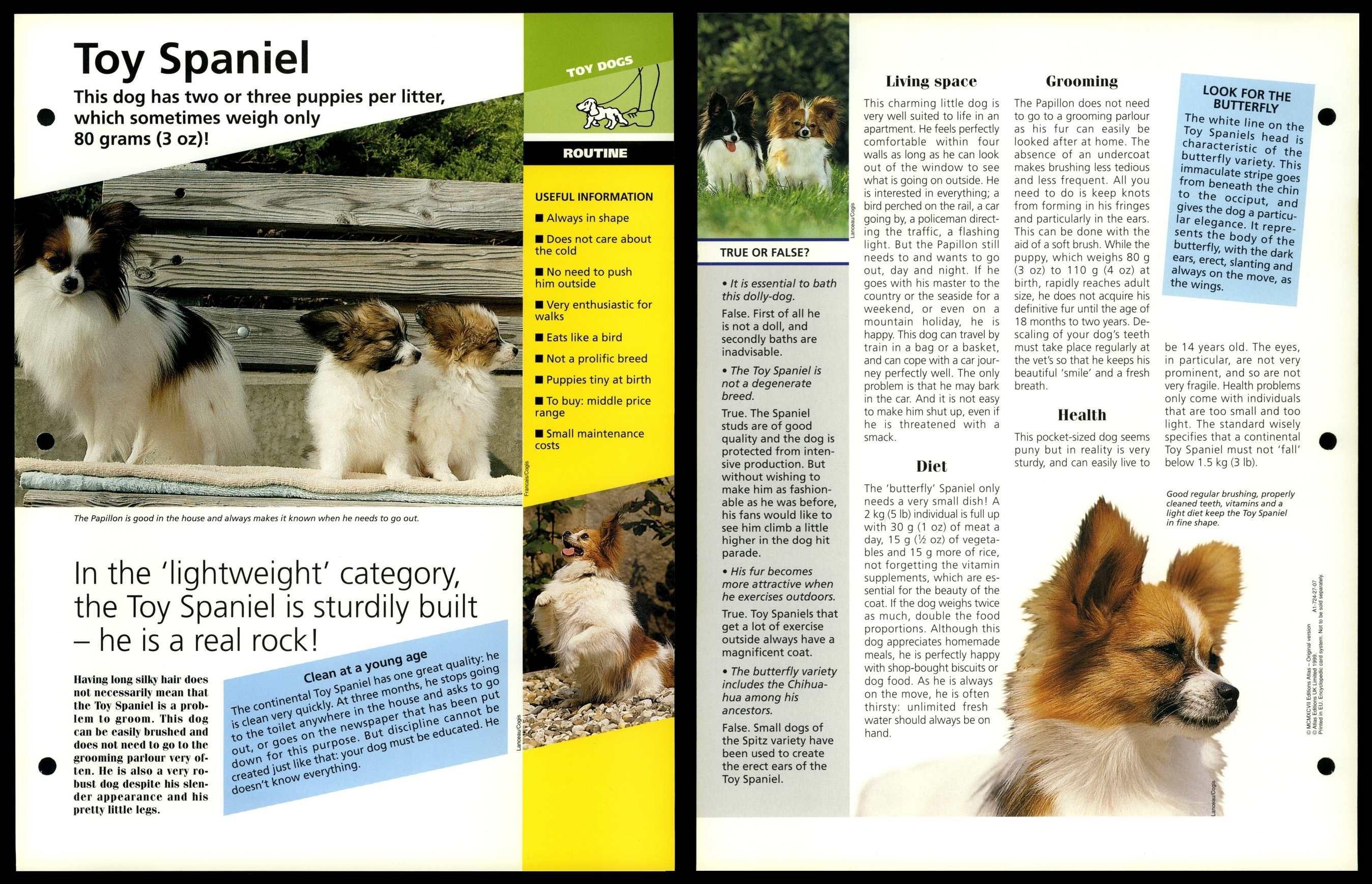 What Does Carding A Dogs Coat Mean