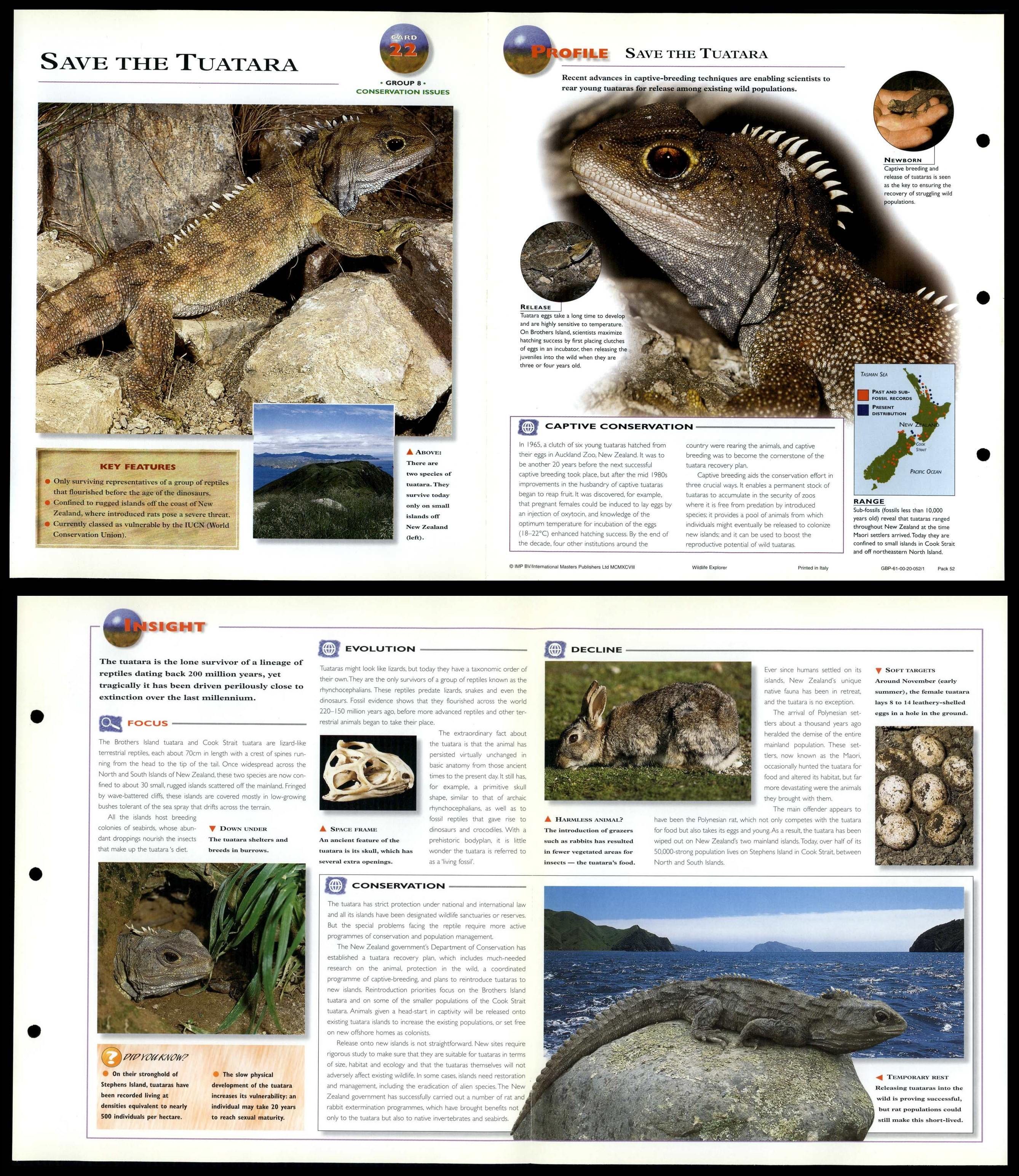 Save The Tuatara #22 Conservation - Wildlife Explorer Fold-Out Card