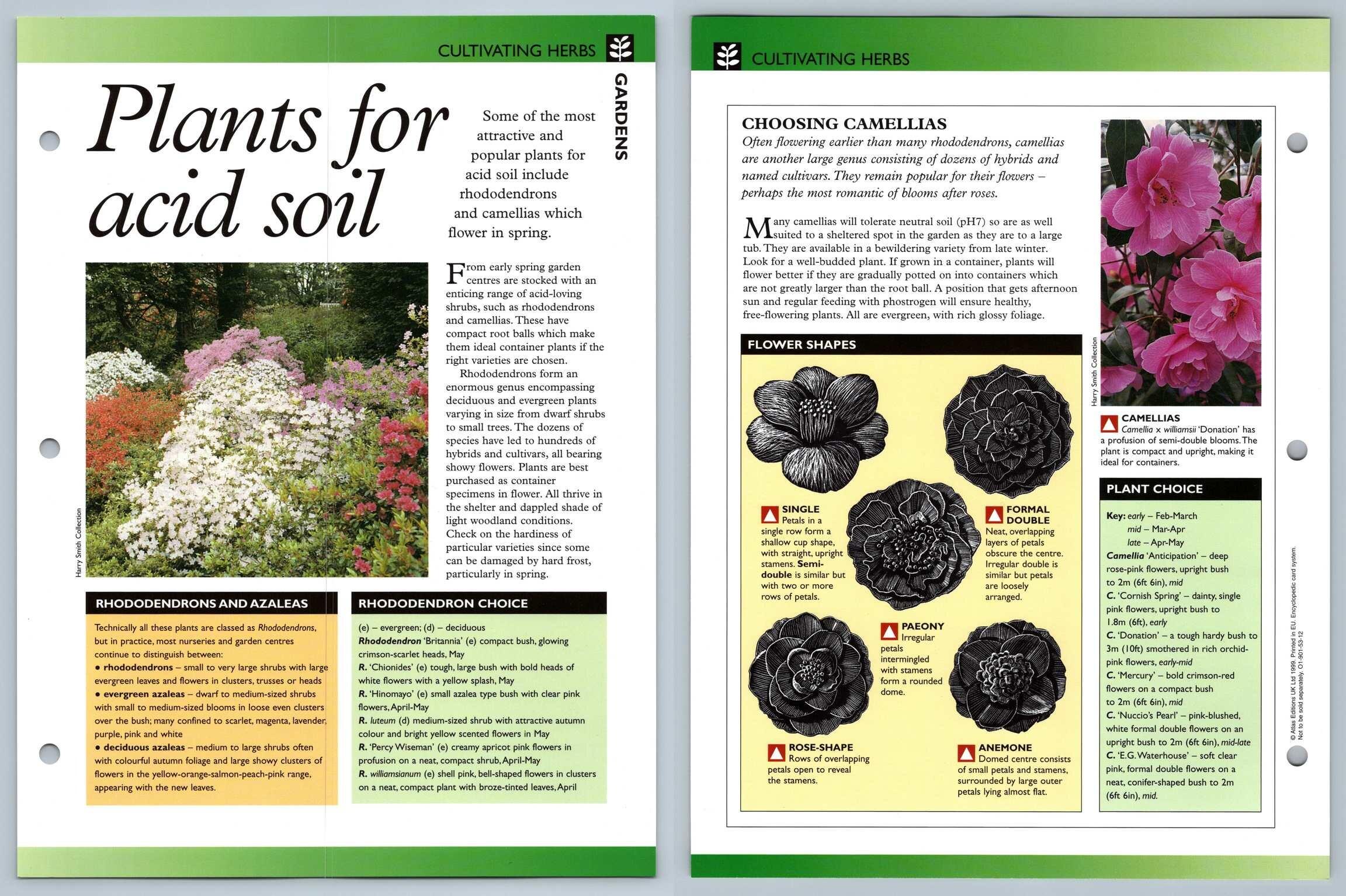 Plants For Acid Soil Cultivating Secret World Of Herbs Fact File Card