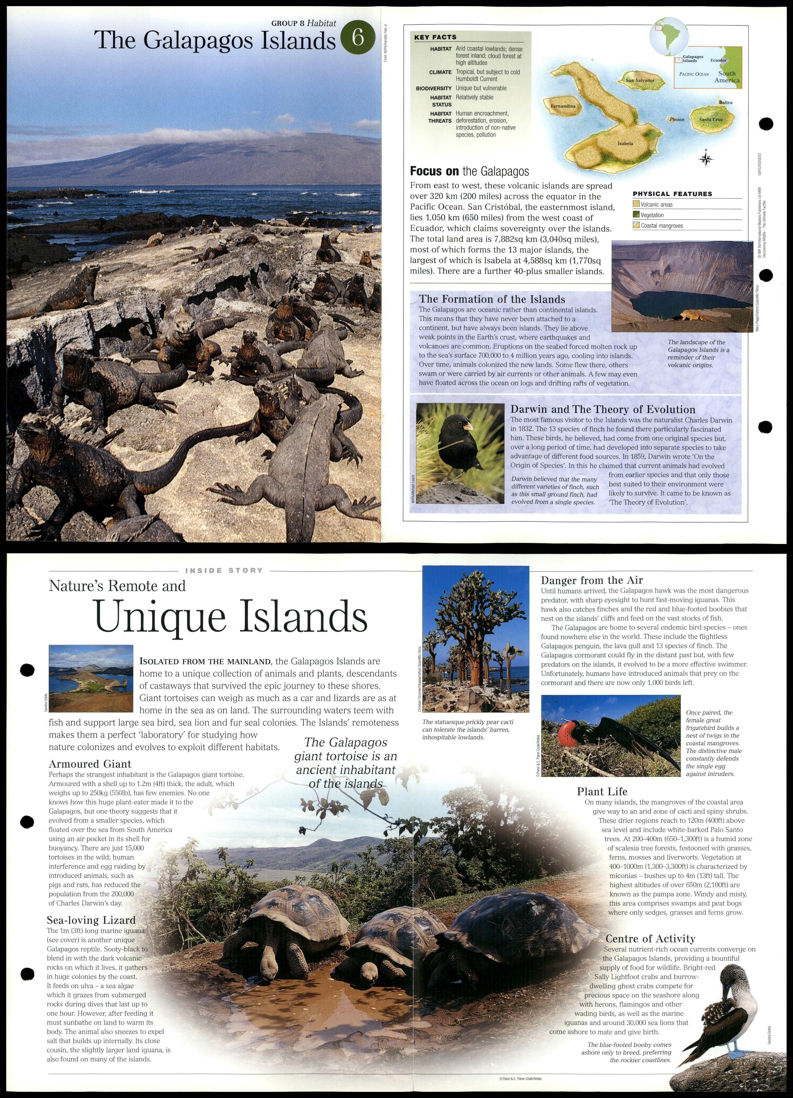 Galapagos Islands 6 Habitat Discovering Wildlife Fact File Fold Out Card 0211