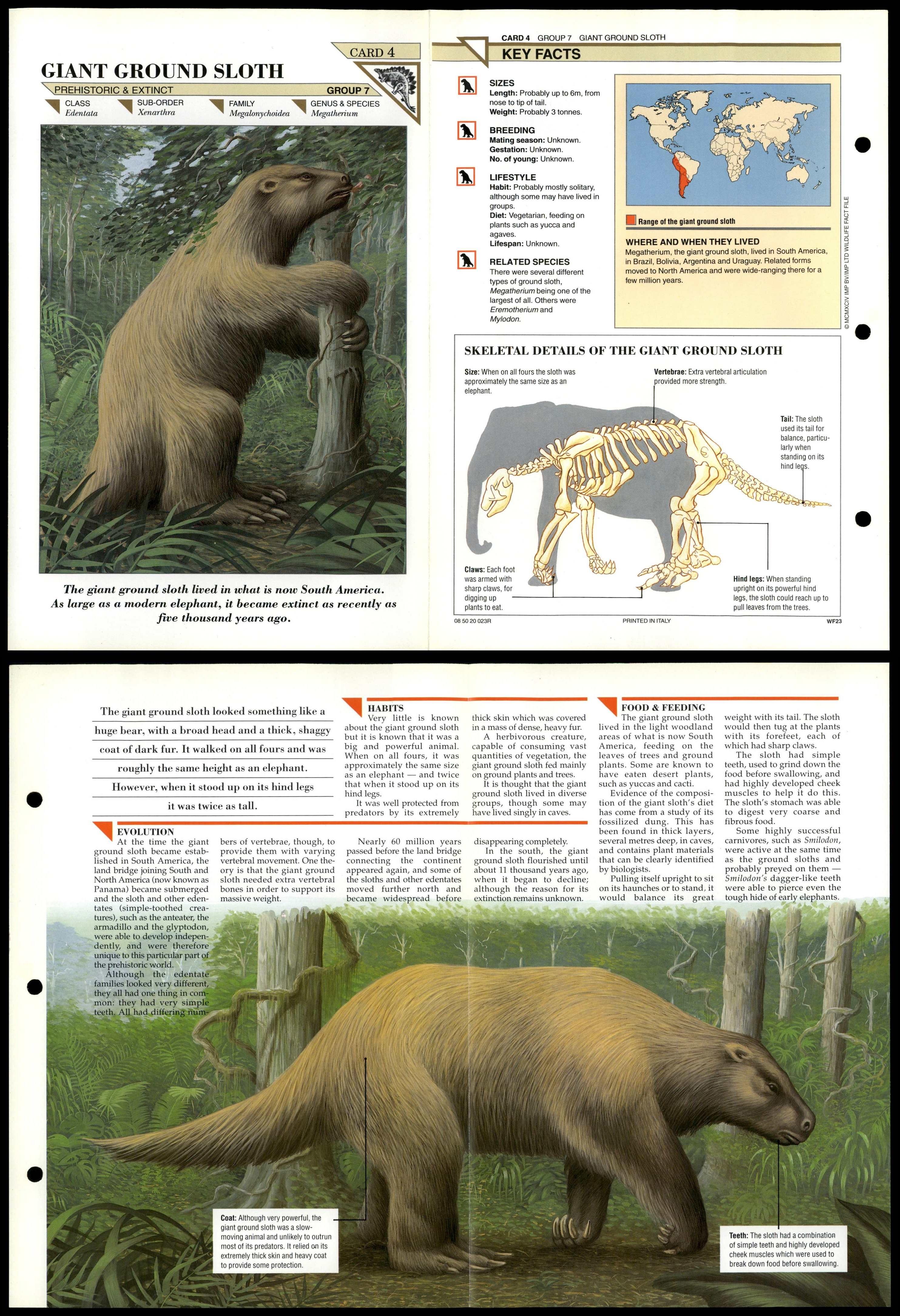 Giant Ground Sloth #4 Extinct Wildlife Fact File Fold-Out Card