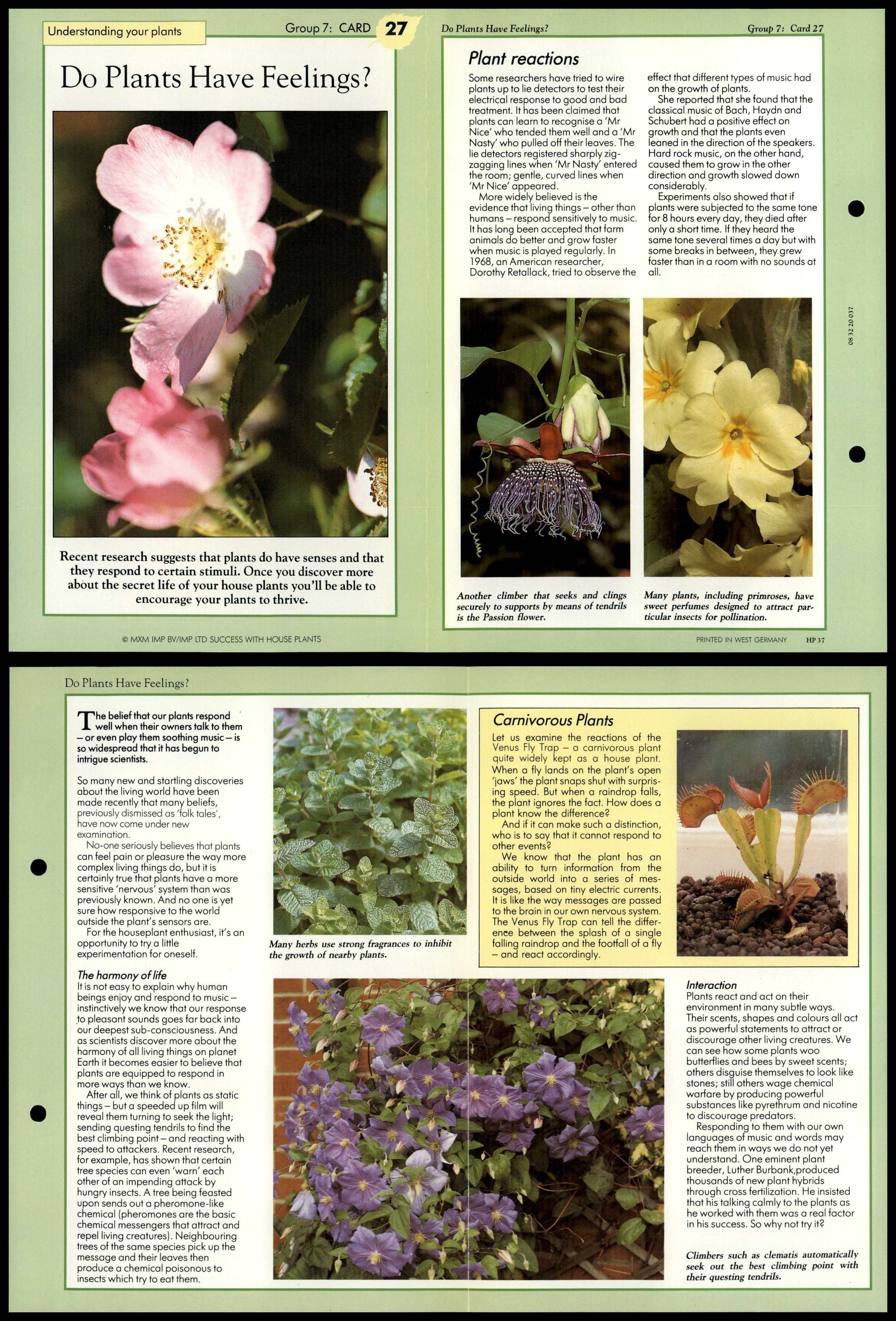 Plants Have Feelings? 27 Understanding Success With House Plants Fold