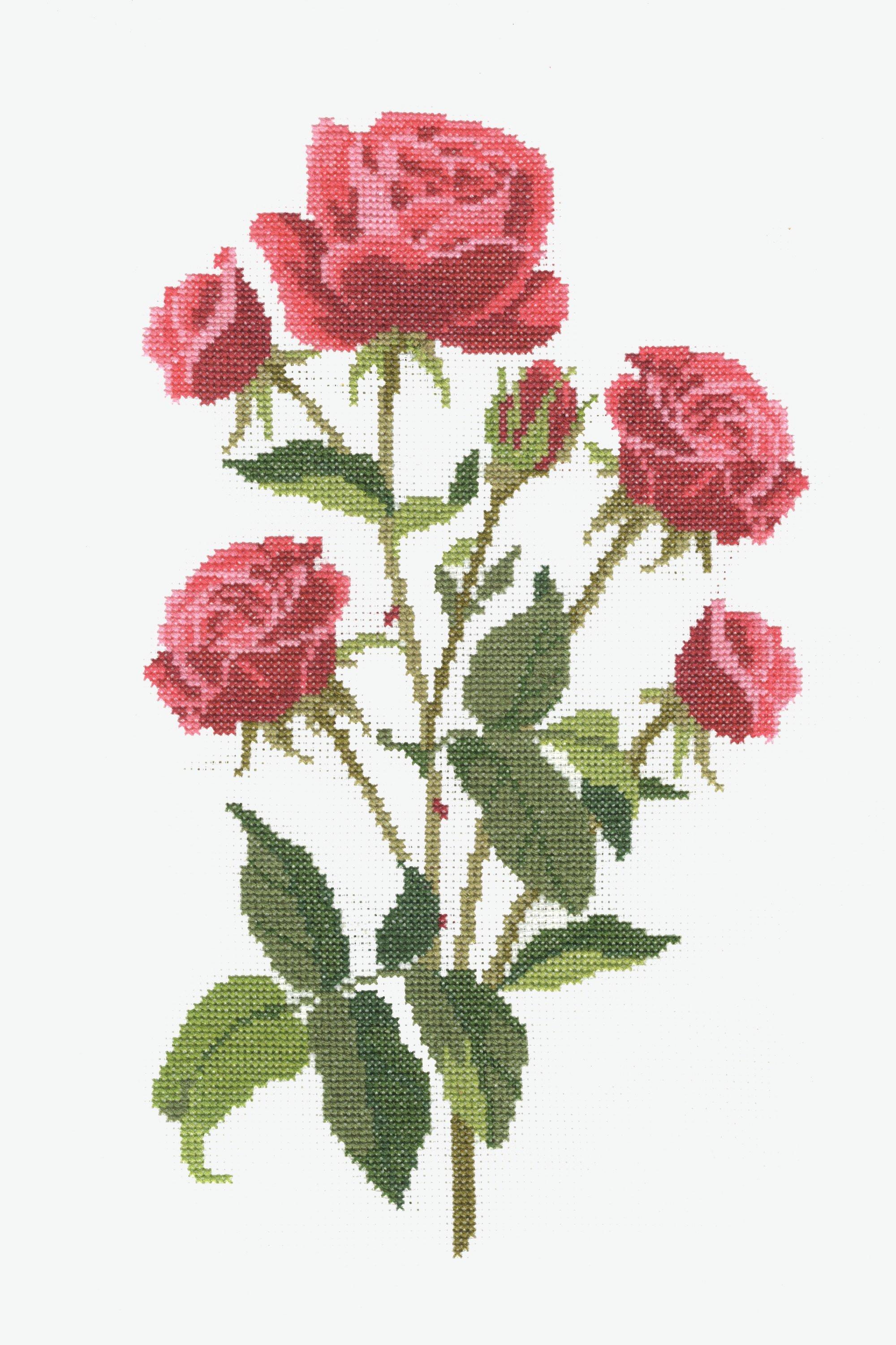 DMC Roses BK1893