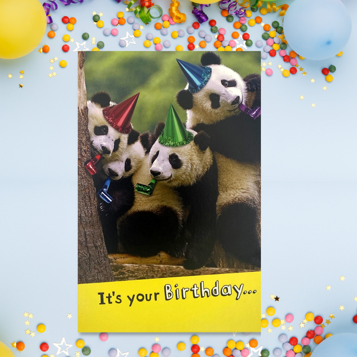 Say Cheese - Pandas Funny Birthday Card