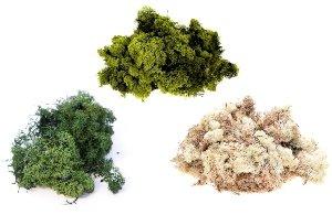 Green / Olive / Natural Finland Reindeer Craft Wreath Choose Weight Moss 