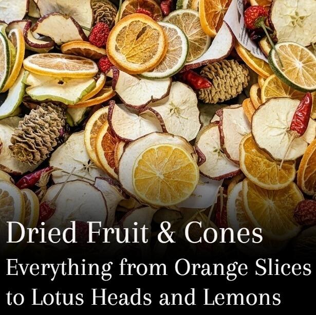 dried fruit cones