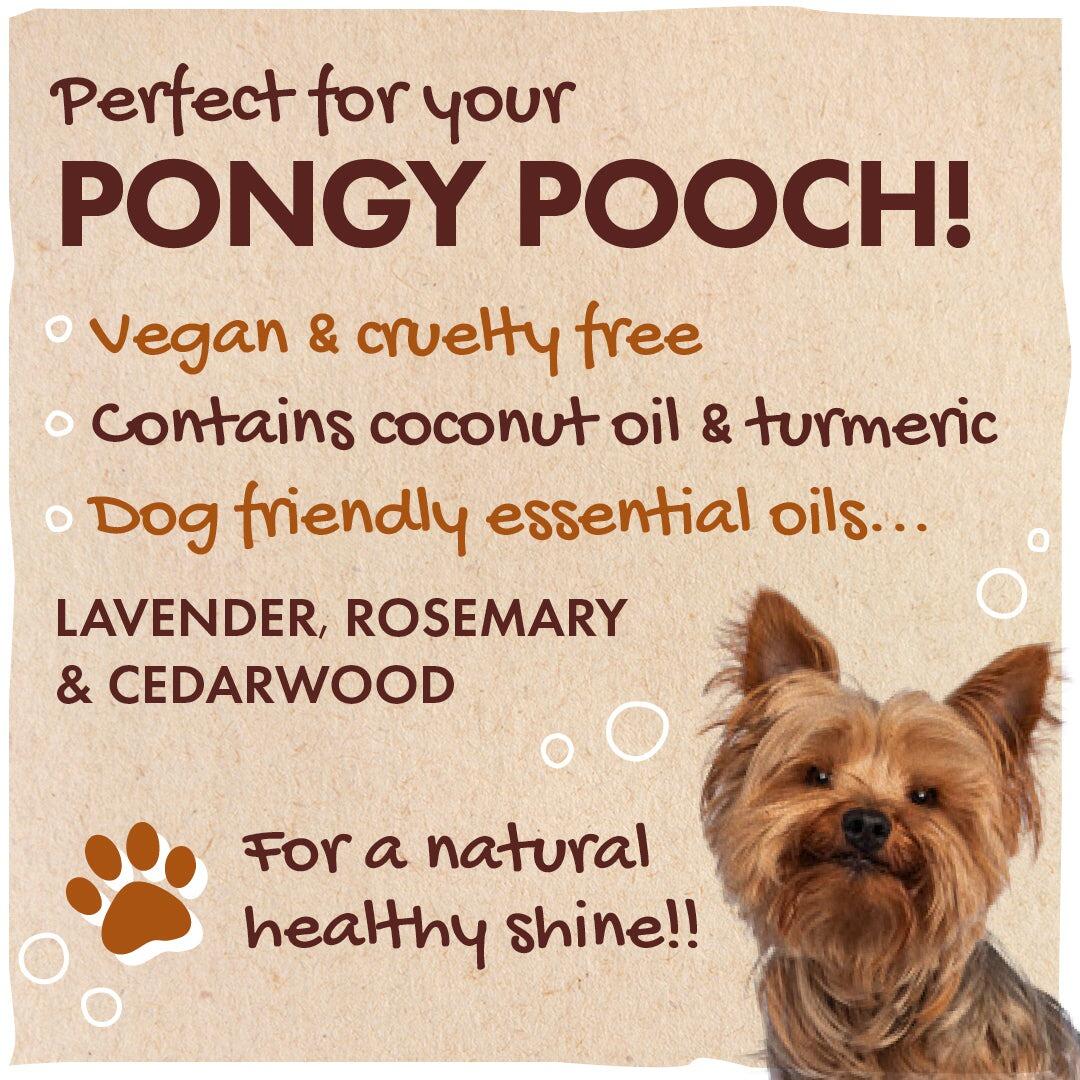 Friendly Soap - Dog Shampoo - Vegan