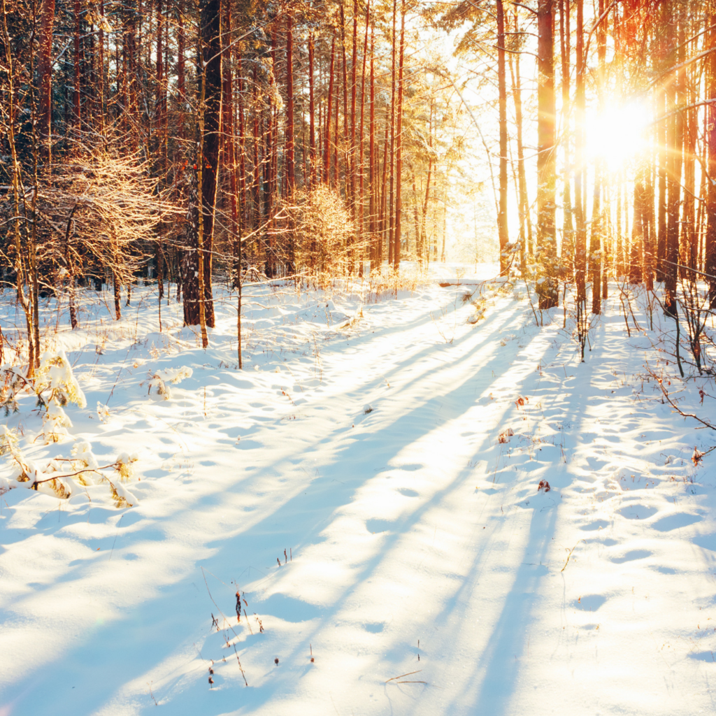 How To Banish Dry Skin This Winter