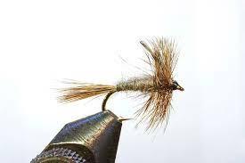 What is an Adams Trout Dry Fly?