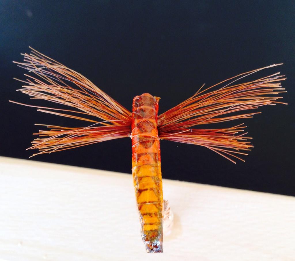 What are Bunyan Bugs Flies?