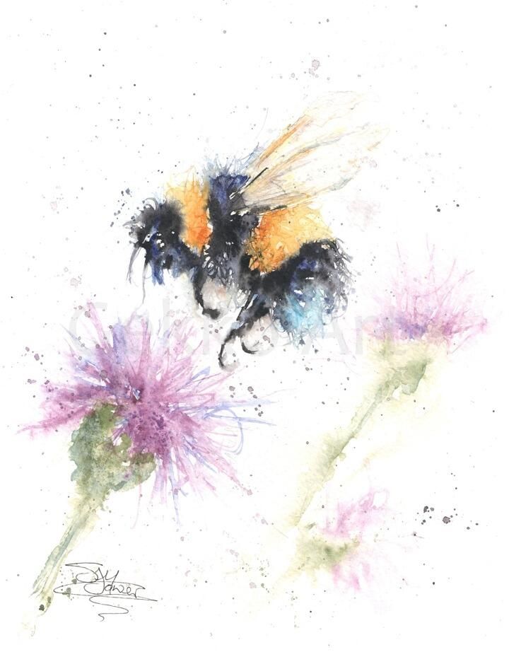 Watercolours with spirit...