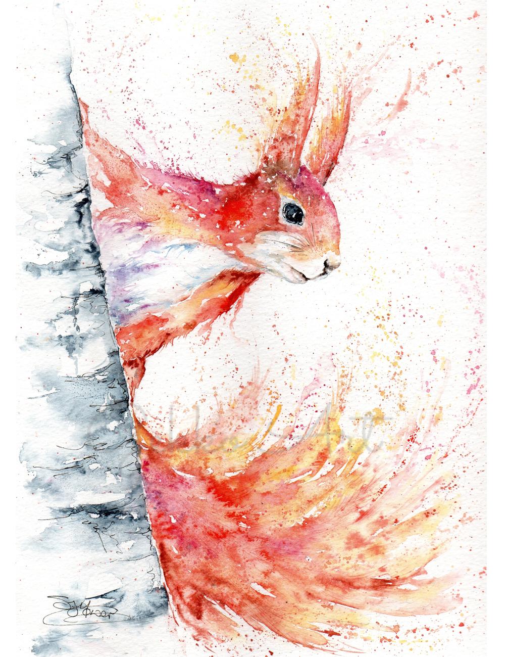 Red Squirrel 'Isla' Watercolour Print | Wildlife Watercolour Artist Sandi  Mower