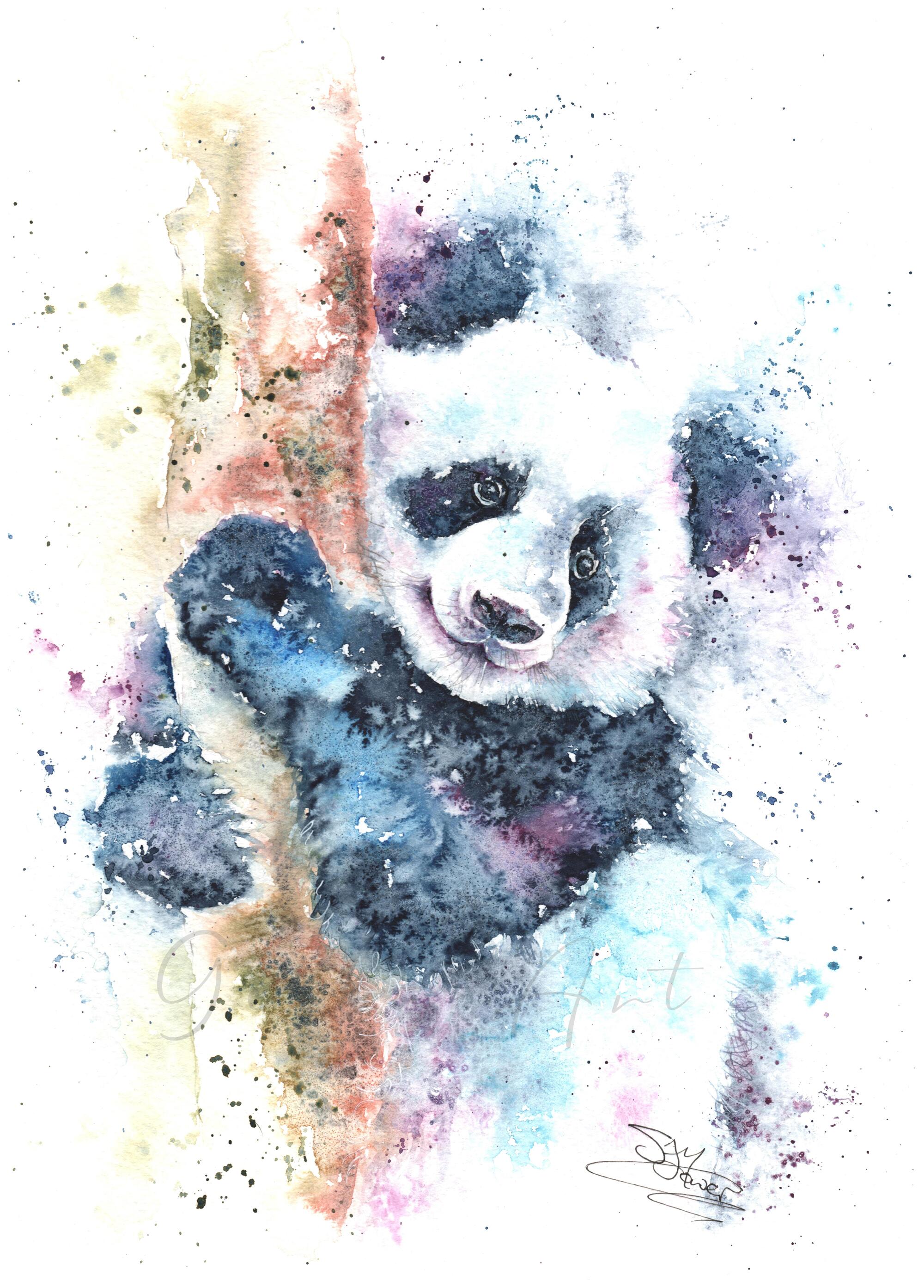 Panda Watercolour Print Wildlife Artist Sandi Mower Gekko Art