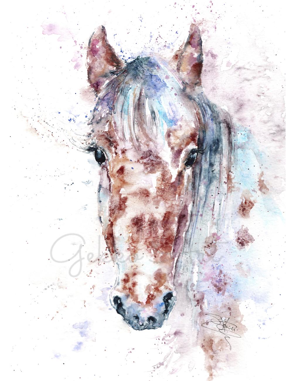 Spotty Horse Watercolour Art Print | Animal Artist Sandi Mower
