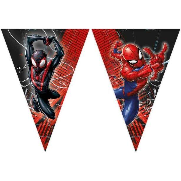 A 2.3m long paper Spider-Man World of Webs flag bunting banner