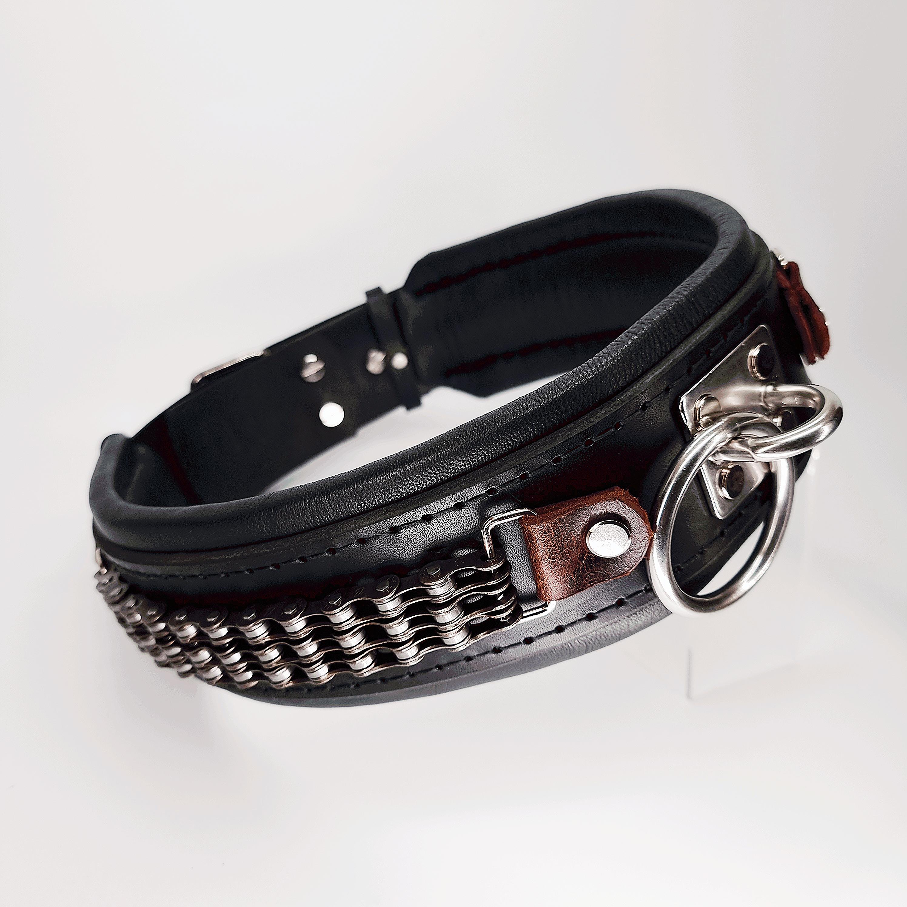 brighton dog collar