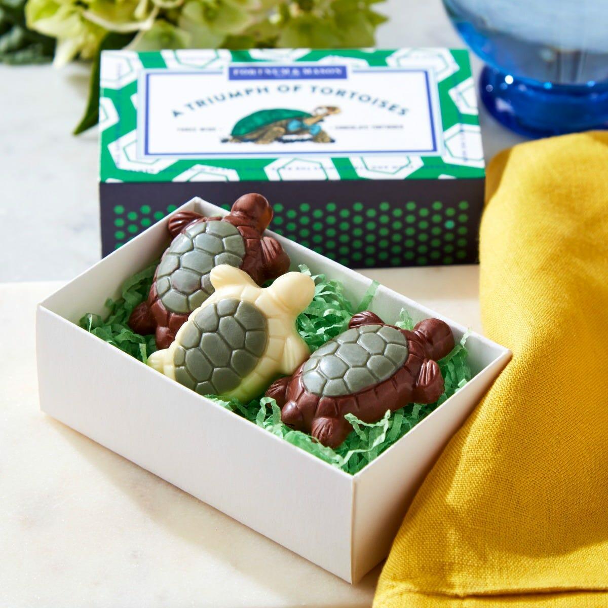 A Triumph of Chocolate Tortoises Matchbox, 25g, Fortnum & Mason