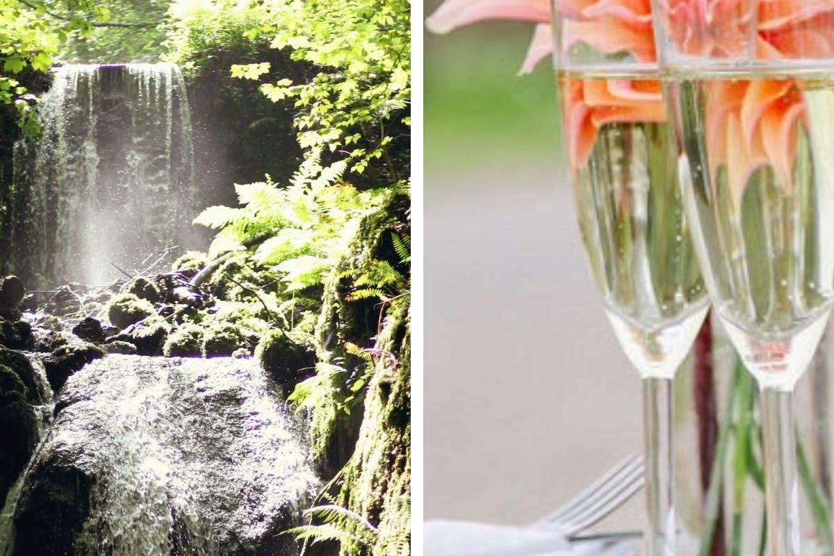 Visit to Canonteign Falls with Prosecco Cream Tea for Two