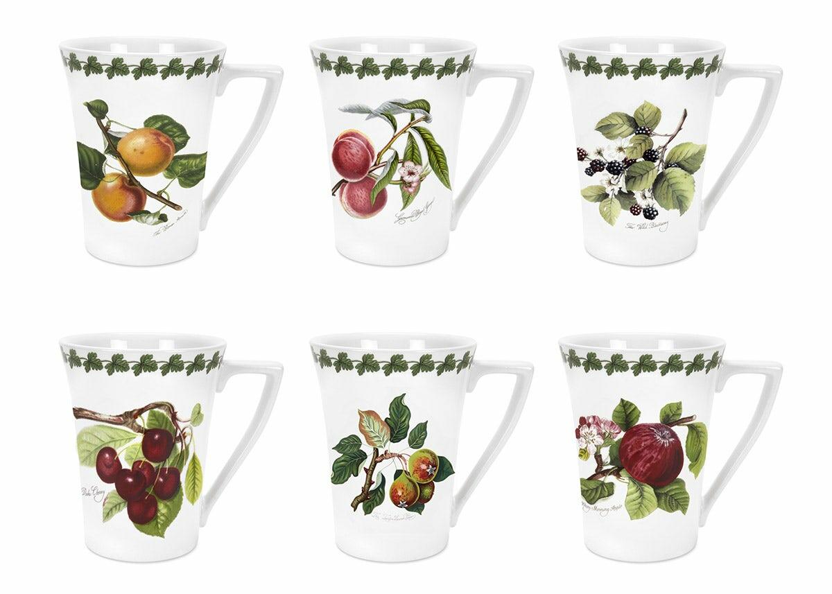 Pomona Set of 6 Mugs