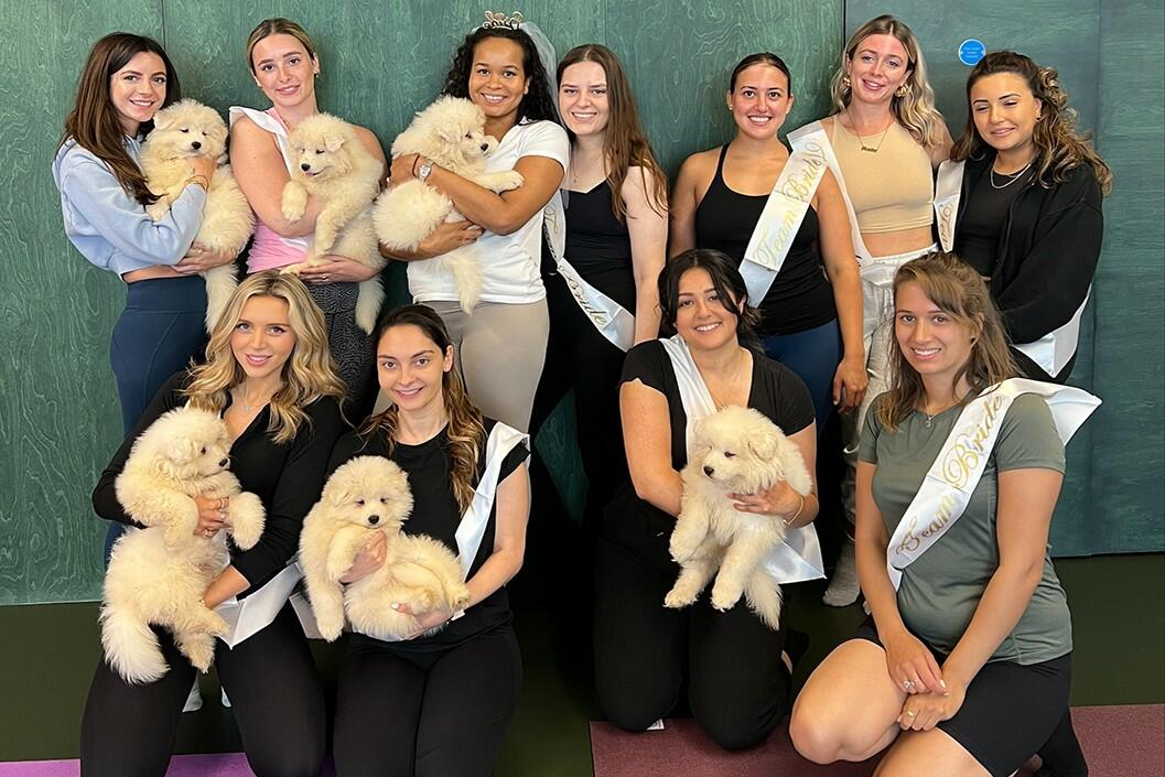 Puppy Yoga with Afternoon Tea and Mimosas for Two with Puply