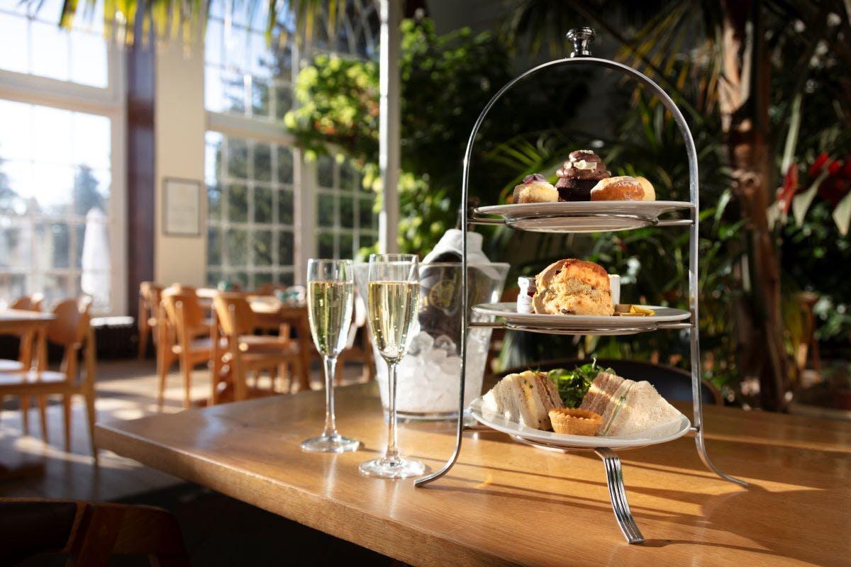 Visit to Warwick Castle and Afternoon Tea in The Conservatory for Two
