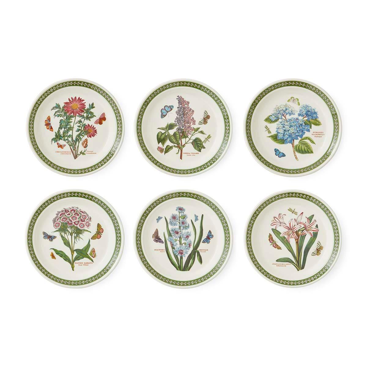 Botanic Garden Etchings, set of 6, 8 inch Plates