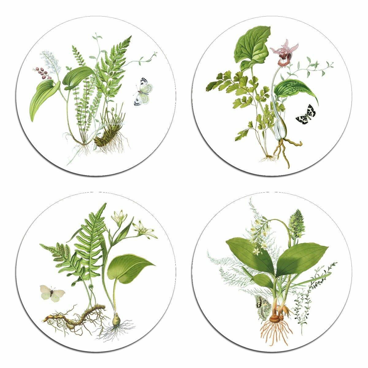 Forest Ferns Coasters, Set of 4, Club Matters