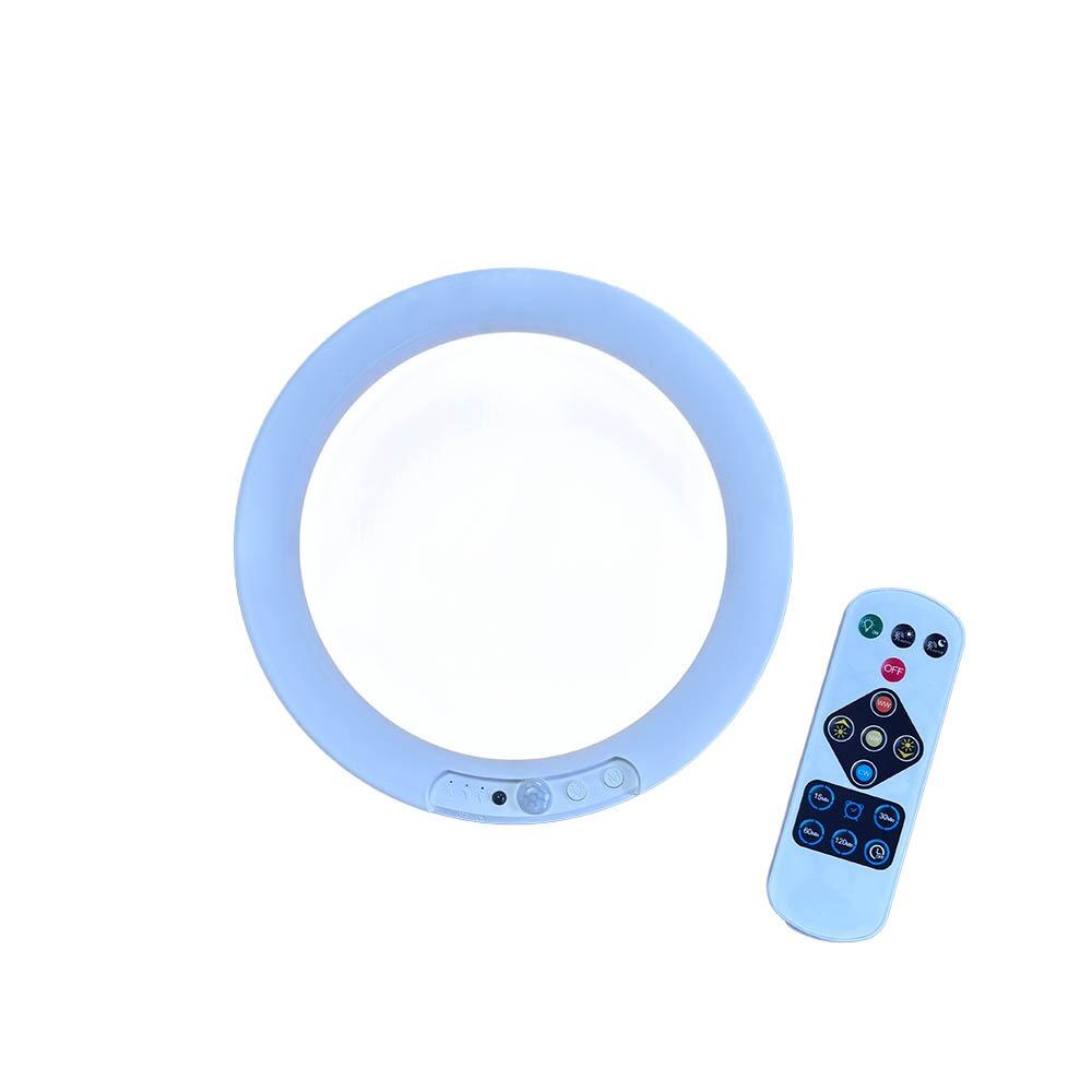 Lifemax Rechargeable Motion Ceiling Light on a white background
