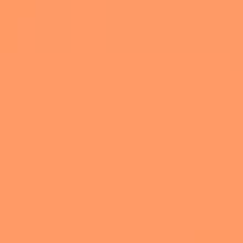LEE Filter 147 Apricot Filter Roll, 7.62m x 1.22m