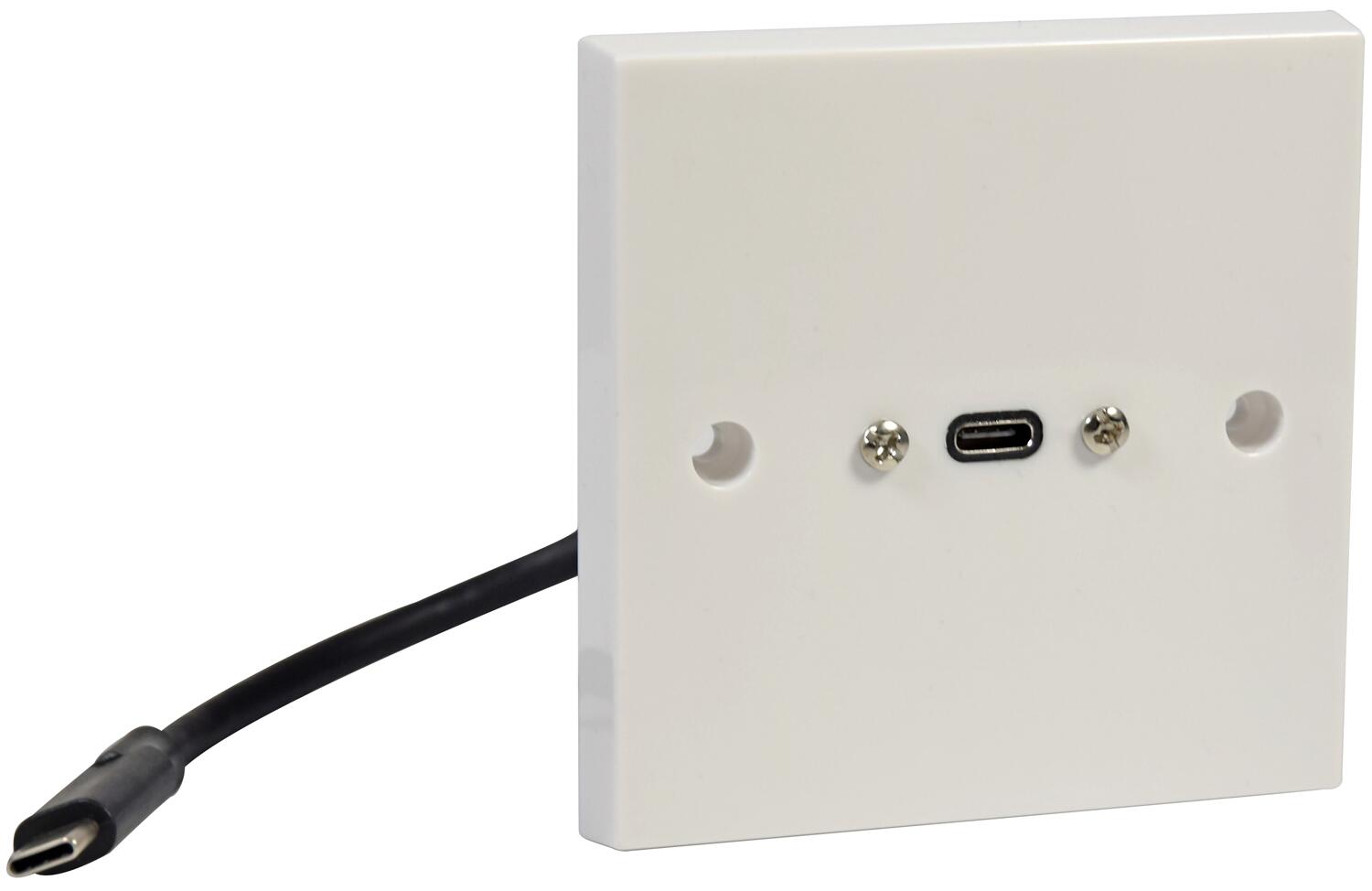 AV:Link USB4 Type-C Wallplate with Male Tail - 122.386UK