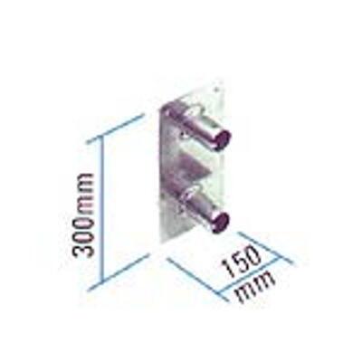 Trilite 2AWP2 Wall Plate