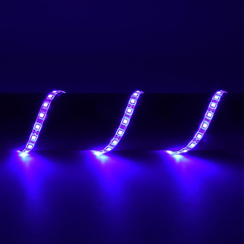 LYYT UV LED tape 12Vdc 60 LEDs per metre 156.704UK