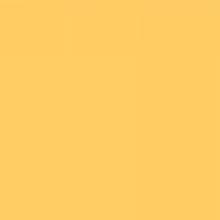 LEE Filter 204 Full C.T. Orange Filter Roll, 7.62m x 1.22m