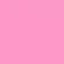 LEE Filter 109 Light Salmon Filter Sheet, 21 x 48