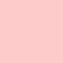 LEE Filter 151 Gold Tint Filter Sheet, 21 x 48