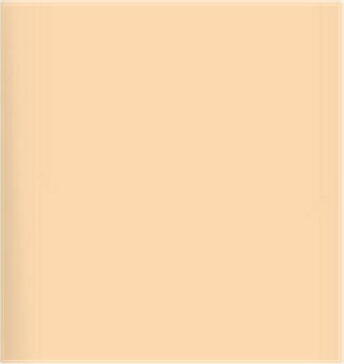 LEE Filter 205 Half C.T. Orange Filter Roll, 7.62m x 1.22m