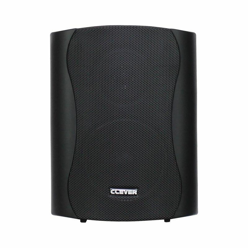 Clever Acoustics BGS 25 Black 8 Ohm Speakers (Pair)