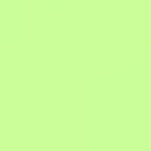 LEE Filter 138 Pale Green Filter Sheet, 21 x 48