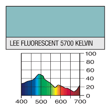 LEE Filter 241 LEE Fluorescent 5700 Filter Sheet, 21 x 48