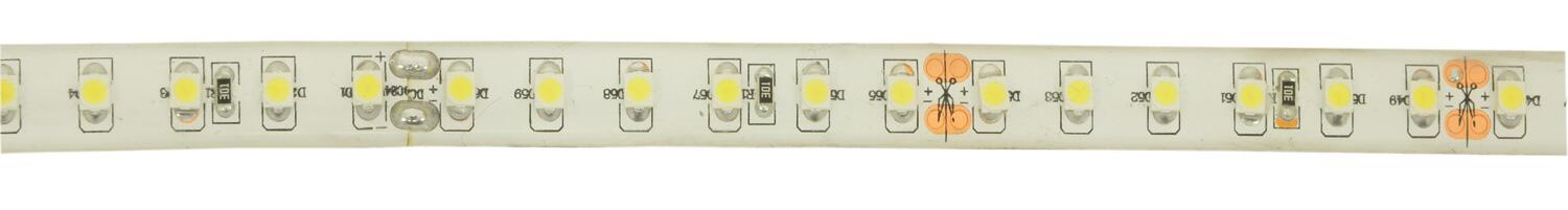 LYYT 24V high output LED tape 5.0m reel - cool white 156.778UK