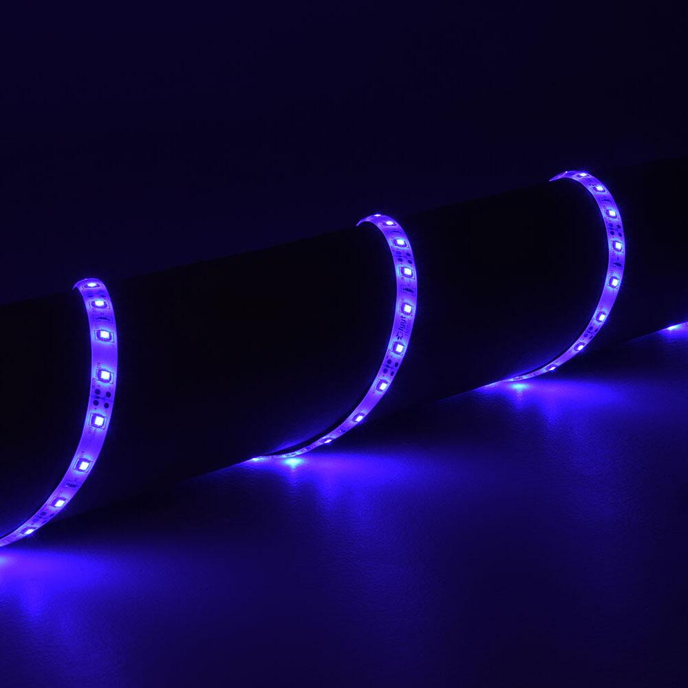 LYYT 12V LED Tape 5m - Blue 156.711UK