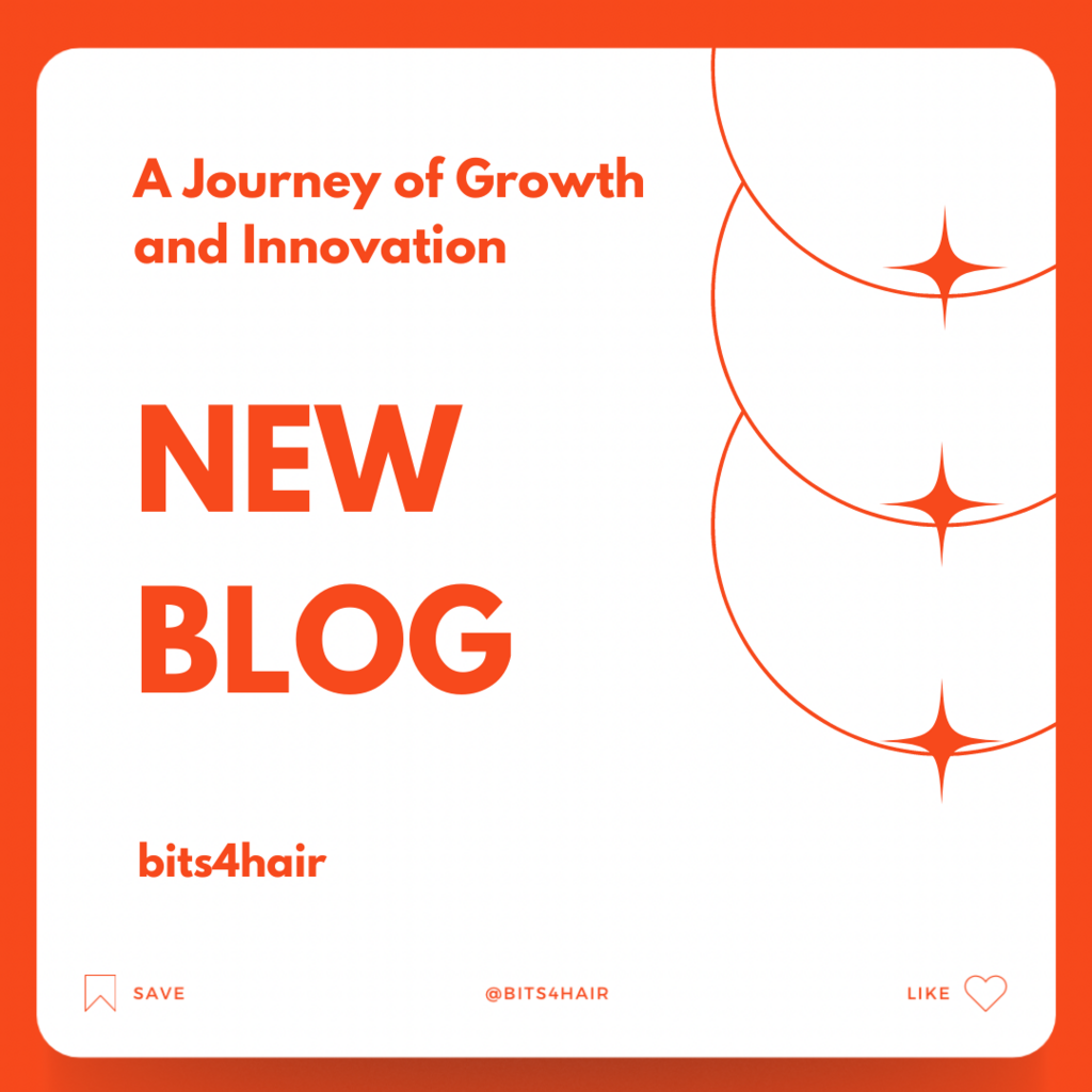 Three Months of Success at bits4hair.co - A Journey of Growth and Innovation